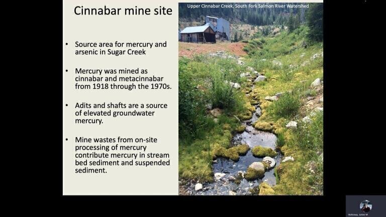 Impact of Historical Mercury and Gold Mining on Freshwater Fisheries Habitat